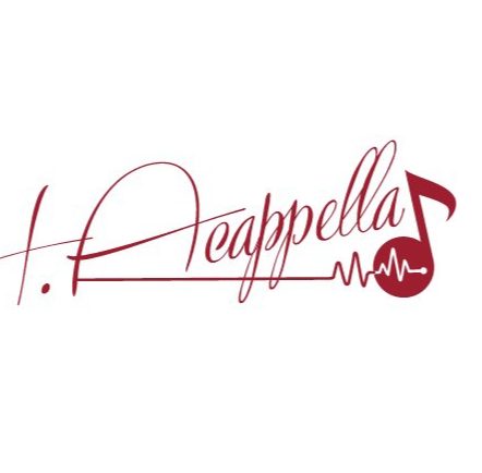 HAcappella人声乐团