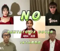 【阿卡贝拉】超好听!!!TNT人声乐团翻唱PTX《NO》