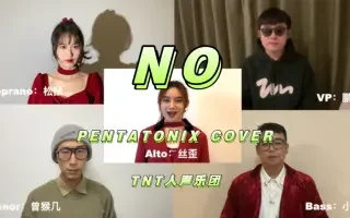 【阿卡贝拉】超好听!!!TNT人声乐团翻唱PTX《NO》