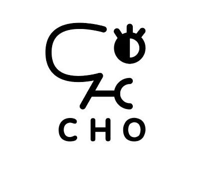 CHO碳氢氧人声乐团