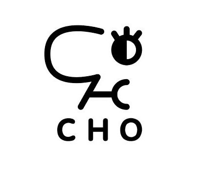 CHO碳氢氧人声乐团