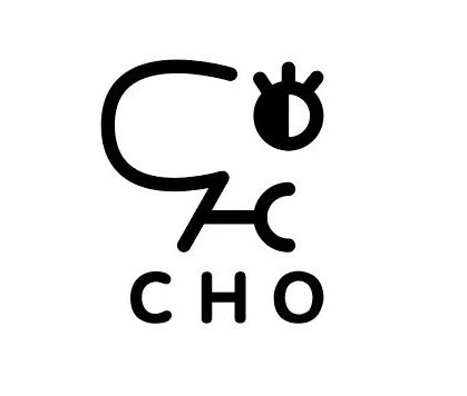 CHO碳氢氧人声乐团