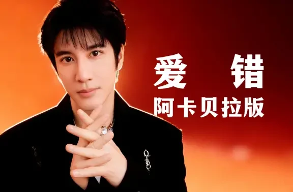 【王力宏】阿卡贝拉《爱错》