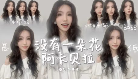 一人【阿卡贝拉】十一个我组成团！屏幕塞不下了哈哈…你就是你啊～绽放吧！