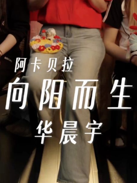阿卡贝拉纯人声｜你在哪家就在哪 两周年快乐！