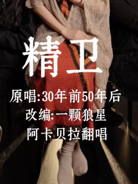 阿卡贝拉纯人声|以前不明白为什么精卫要填海