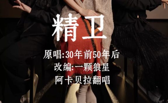 阿卡贝拉纯人声｜以前不明白为什么精卫要填海